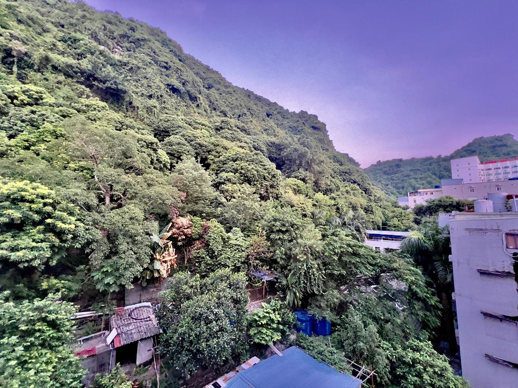 Manh Vuong Hotel Catba Dong Khe Sau ภายนอก รูปภาพ